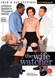 The Wife Watcher | Наблюдатель За Женой (2022) HD 1080p