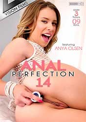 Anal Perfection 14 | Анальное Совершенство 14 (2022) HD 720p